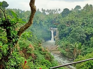 Best Ubud Tour: Monkey forest, Rice Terrace & Waterfall — gallery 2