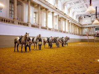 Spanish Riding School Training with Music Tickets — gallery 1