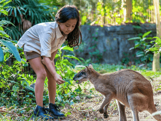 Bali Zoo Entry Tickets — gallery 1
