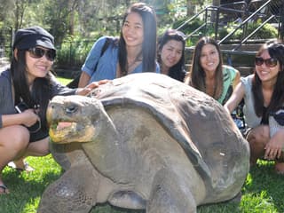 Australian Reptile Park Ticket — gallery 1