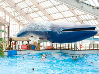 Aquaboulevard Water Park Full-Day Tickets — gallery 2