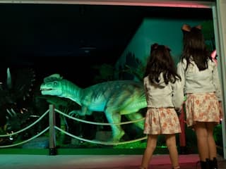 بلیت ورودی: پاسگاه دایناسور, Dinosaur Outpost, Las Vegas