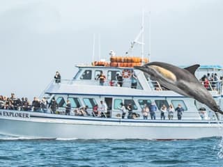 Los Angeles: Luxury Whale Watching Tour — gallery 2