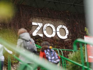 Edinburgh Zoo Entrance Tickets — gallery 3