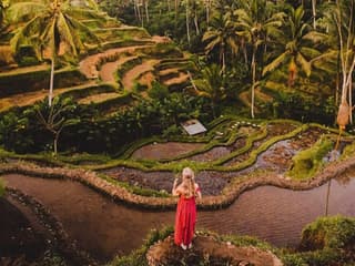 Best Ubud Tour: Monkey forest, Rice Terrace & Waterfall — gallery 3