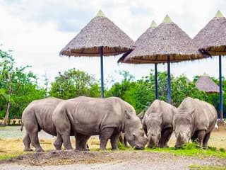 Safari World + Marine Park Tickets with Lunch and Optional Transfers — gallery 3
