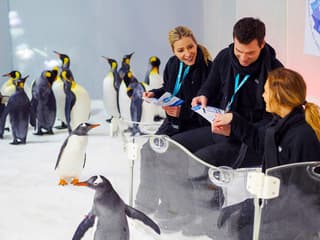 SEA LIFE Melbourne Aquarium Tickets — gallery 1