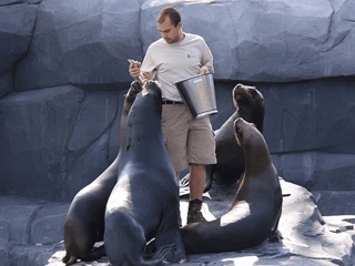Paris Zoological Park: Entry Ticket — gallery 1