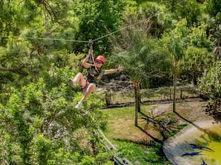Gatorland Tickets with Screamin’ Gator Zip Line Access — gallery 3
