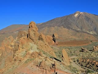 Tenerife: Half-Day Guided Tour to Teide National Park — gallery 3