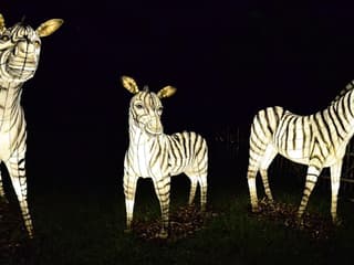 Zoo Lights at Zoo Miami — gallery 2