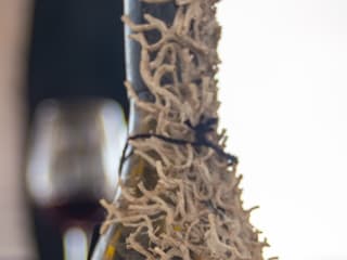 Barcelona: 2-Hr Sailing Experience + Underwater Wine Tasting — gallery 3