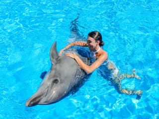 Dolphinarium Pattaya - Swim with Dolphins Experience — gallery 2