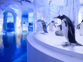 SEA LIFE London Aquarium: Standard Admission Tickets — gallery 2