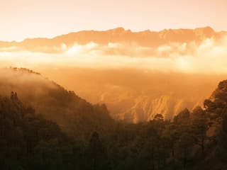 La Palma: Small Group Guided Day Tour from Tenerife + Lunch + Boat Ride — gallery 1