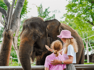 Bali Zoo Entry Tickets — gallery 3