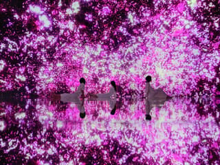 כרטיסים ל-teamLab Planets Tokyo, Tokyo, Japan, Tokyo