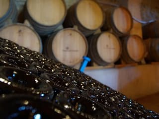 Barcelona: Half-Day Tour with Sailing, Vineyard Tour & Wine Tasting — gallery 1
