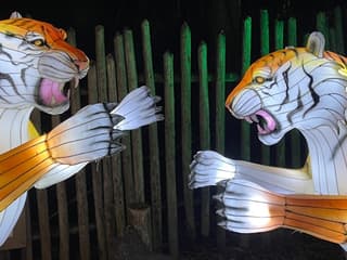 Zoo Atlanta: IllumiNights — gallery 3