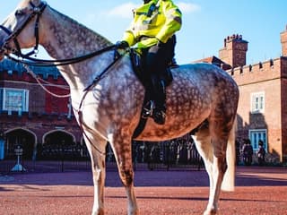 London: 40+ Top Sights Guided Walking Tour — gallery 3
