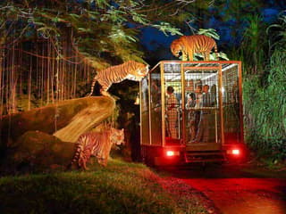 Bali Safari Tickets — gallery 1