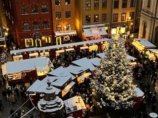 Stockholm: Guided Private Day Tour — gallery 3