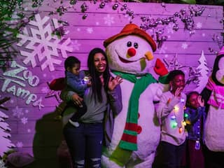 ZooTampa: Christmas in the Wild — gallery 1
