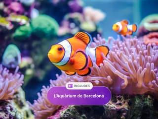 Go City Barcelona All Inclusive Pass: Access to 40+ Attractions — gallery 3
