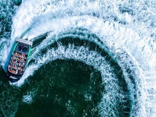 Gold Coast: 45-Min Jet Boat Ride + Roundtrip Transfer from Surfers Paradise — gallery 1