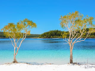 From Hervey Bay: K'gari (Fraser Island) 1-Day Classic Coach Tour with Lunch — gallery 3