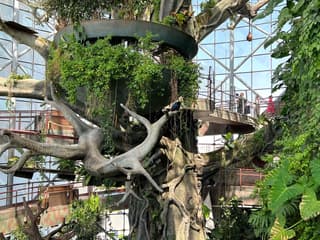Green Planet Dubai Tickets — gallery 3