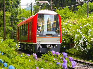 Hakone & Kamakura 3-Day Transportation Pass — gallery 2