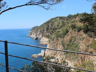 Costa Brava: Excursion including a boat Tour from Lloret de Mar to Tossa de Mar — gallery 3