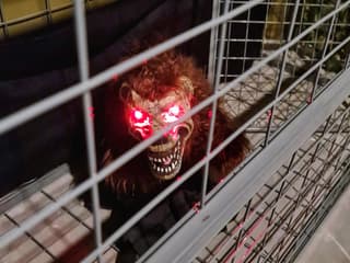 Tickets to Trapped Escape Room: Singapore — gallery 3