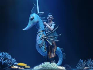 Varuna Underwater Show Tickets — gallery 2