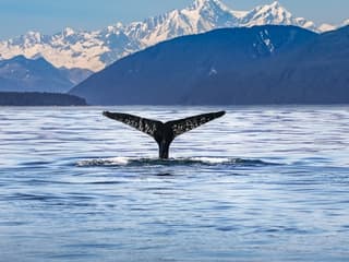 Kaikoura: Small-Group Guided Tour from Christchurch + Lunch — gallery 1