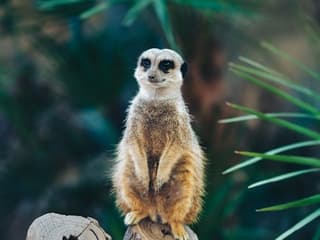 Barcelona Zoo: Skip The Line Ticket — gallery 1