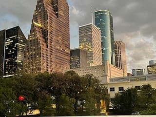Houston: Guided City Driving Tour — gallery 1