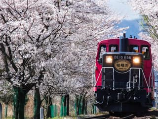 Billete del Tren Romántico de Sagano: de Saga hacia/desde Kameoka, Kioto