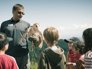 Grouse Mountain: Summer Admission Ticket — gallery 2