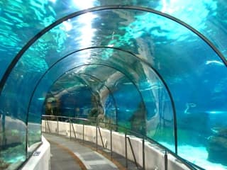 Hurghada Grand Aquarium: Entry Ticket + Roundtrip Transport — gallery 1