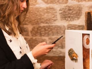 Les Caves du Louvre: French Wine Experience — gallery 1