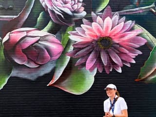 Montreal: Murals Walking Tour — gallery 2