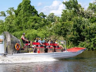 New Orleans: Small Airboat Ride — gallery 3