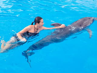 Dolphinarium Pattaya - Swim with Dolphins Experience — gallery 3