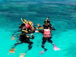 Michaelmas Cay Great Barrier Reef Sailing Cruise from Cairns — gallery 2