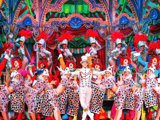 Moulin Rouge Show with Champagne — gallery 2