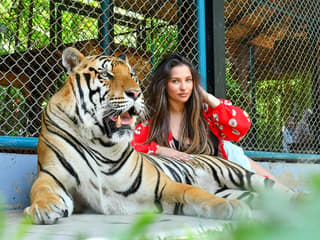 Tiger Park Tickets with Tiger Play Packages — gallery 1