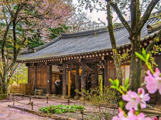 Nami Island & Mount Seorak Day Tour — gallery 1