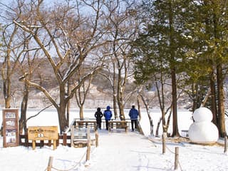 From Seoul: Alpaca World, Nami Island & Garden of Morning Calm Day Trip — gallery 2